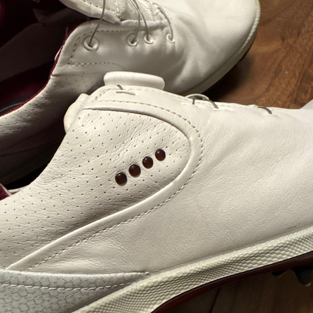 e c coのゴルフシューズレディース用36。本革。防水加工。BOA。