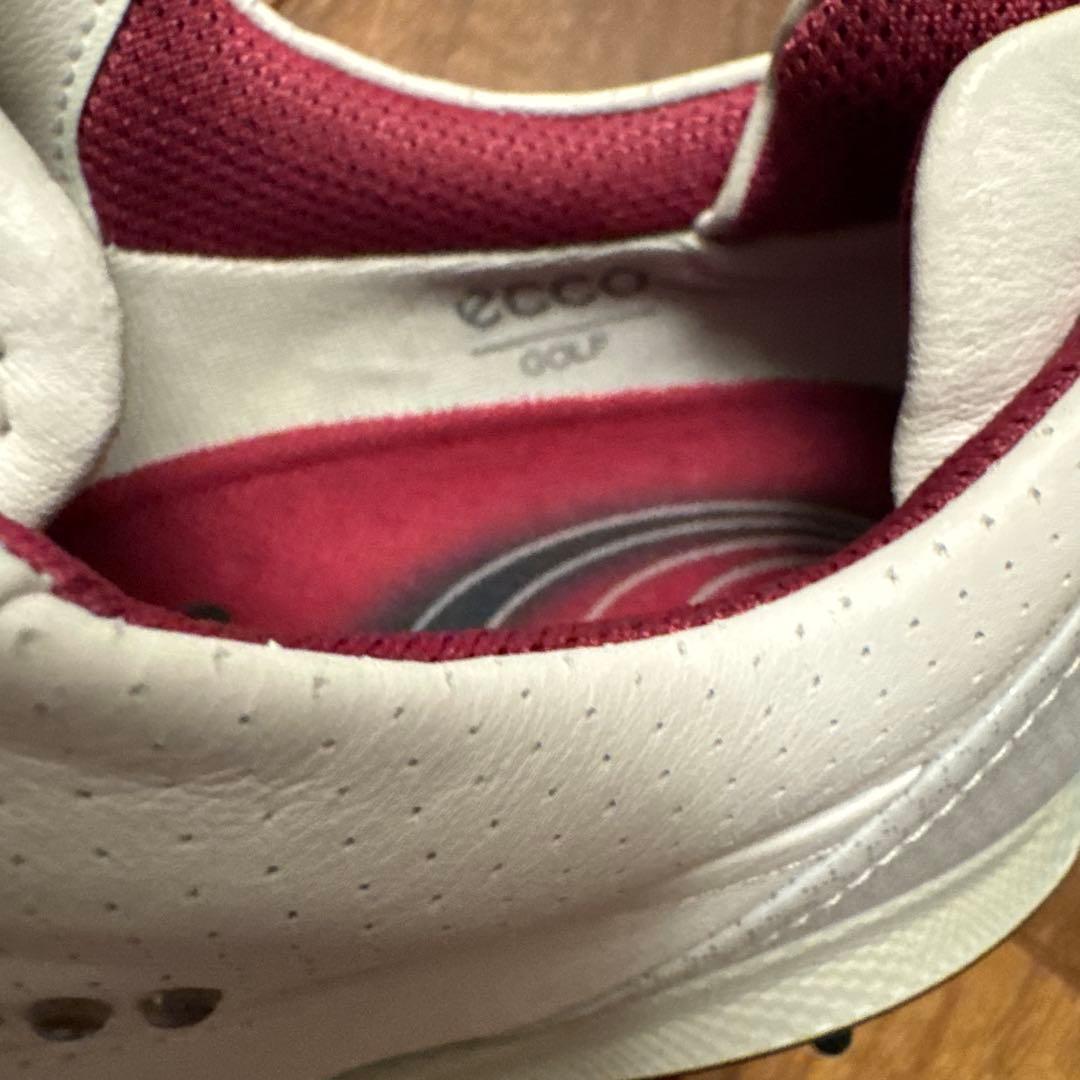 e c coのゴルフシューズレディース用36。本革。防水加工。BOA。