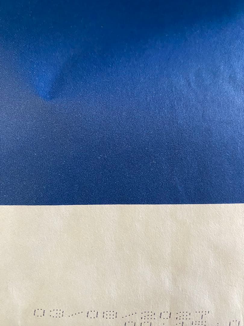 ✴︎セレクトバランス　パピーチキン✴︎ 小粒15kg