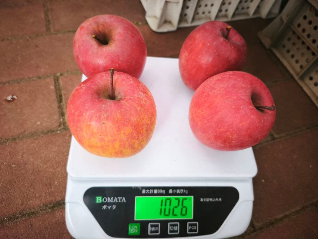 糖度21%　贈答用クラス10キロ　信州高山村産フジ