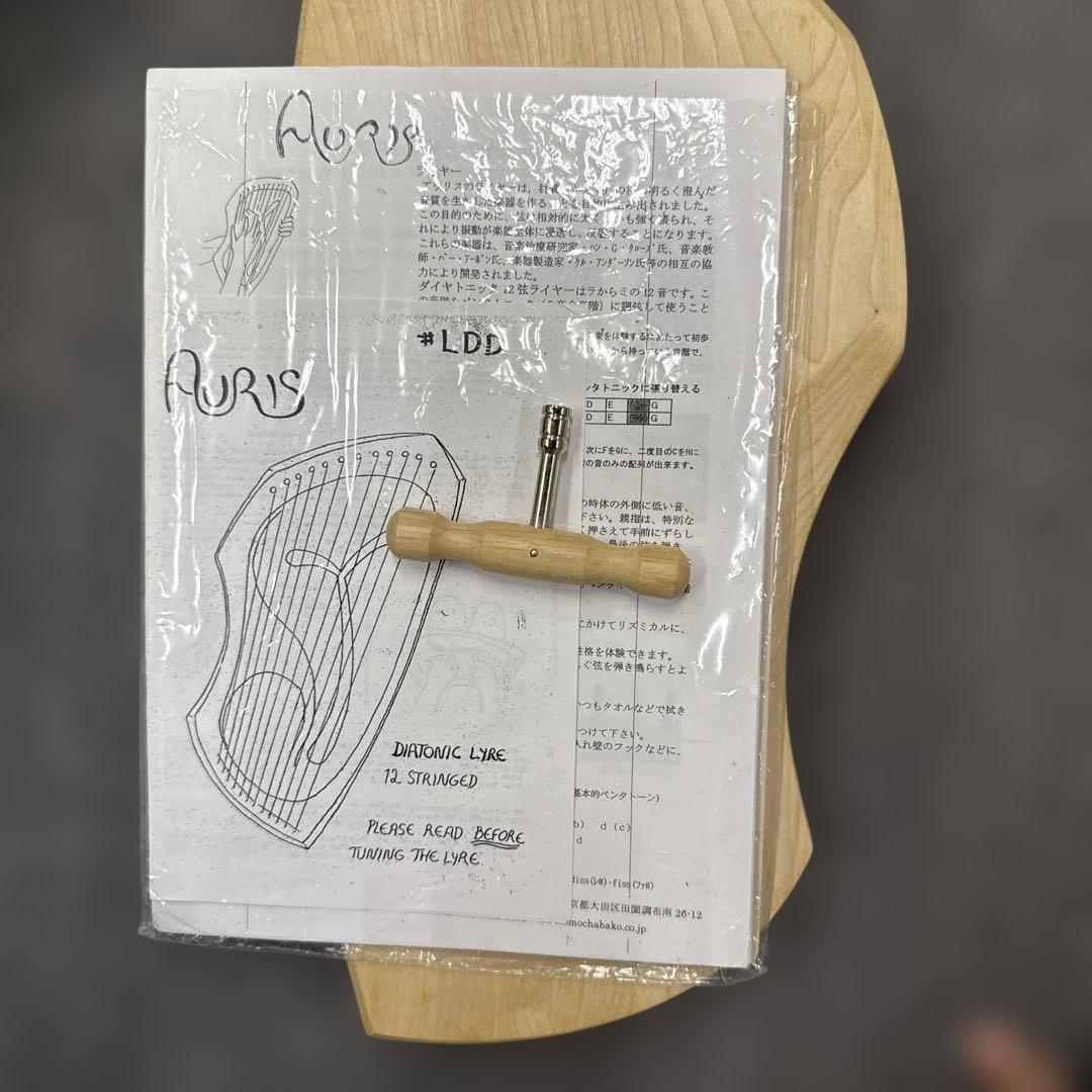 y*i様 600アウリスライアー12弦　ダイアトニック