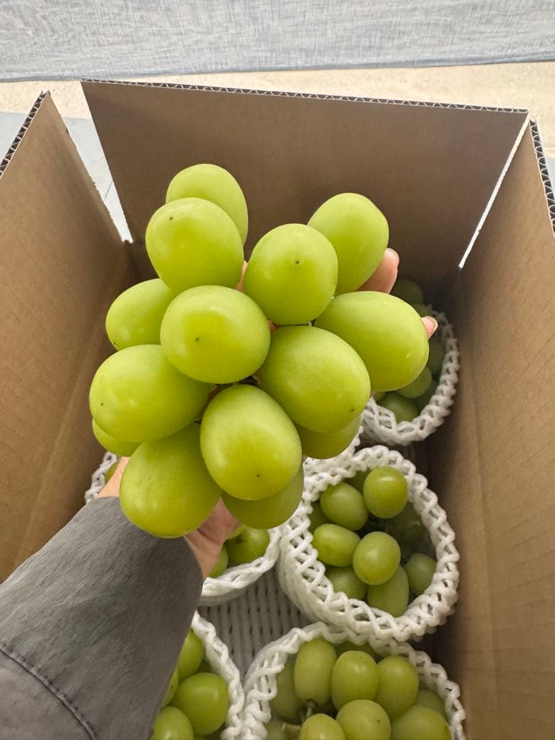 福島の桃　シーエックス