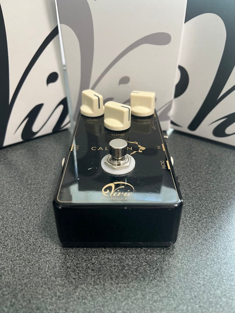 ギター Vivie CALLION