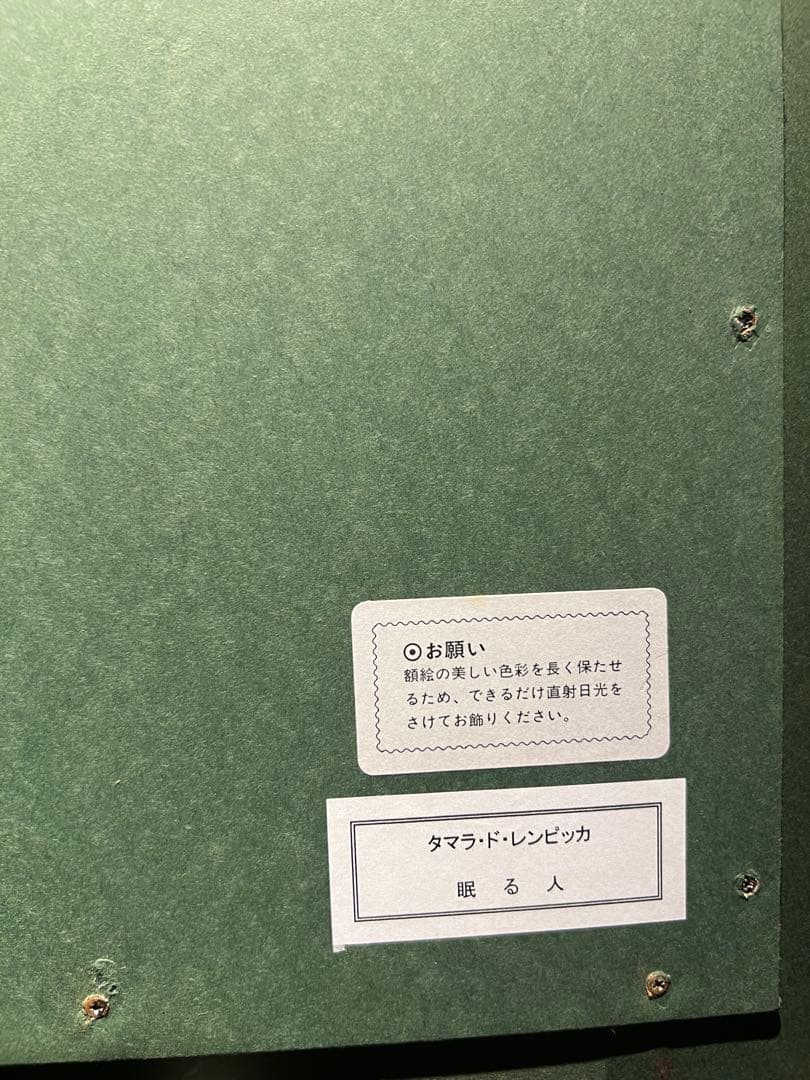 他の人発送×Tamara de Lempicka【眠る人】