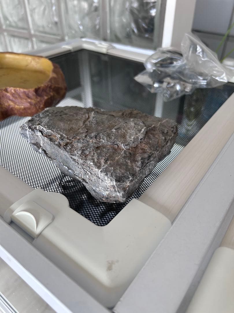 爬虫類飼育ケース　90×45×45 フトアゴ　REPTI WILD ホワイト