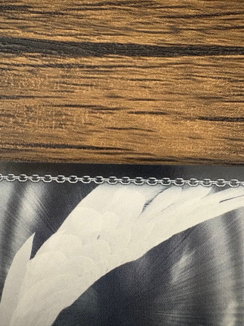 学園の聖母 マーシャ トレーディングカード