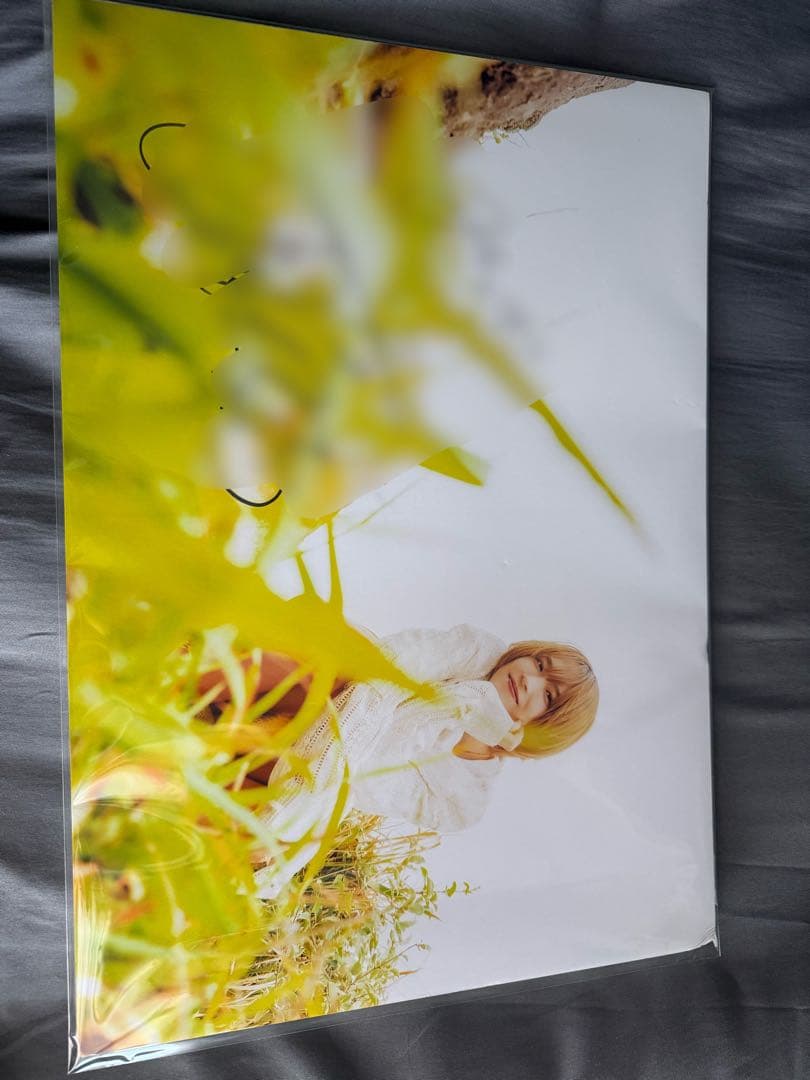 富園力也　写真集　リキヤノミリョク サインパネル　サイン付き写真集セット