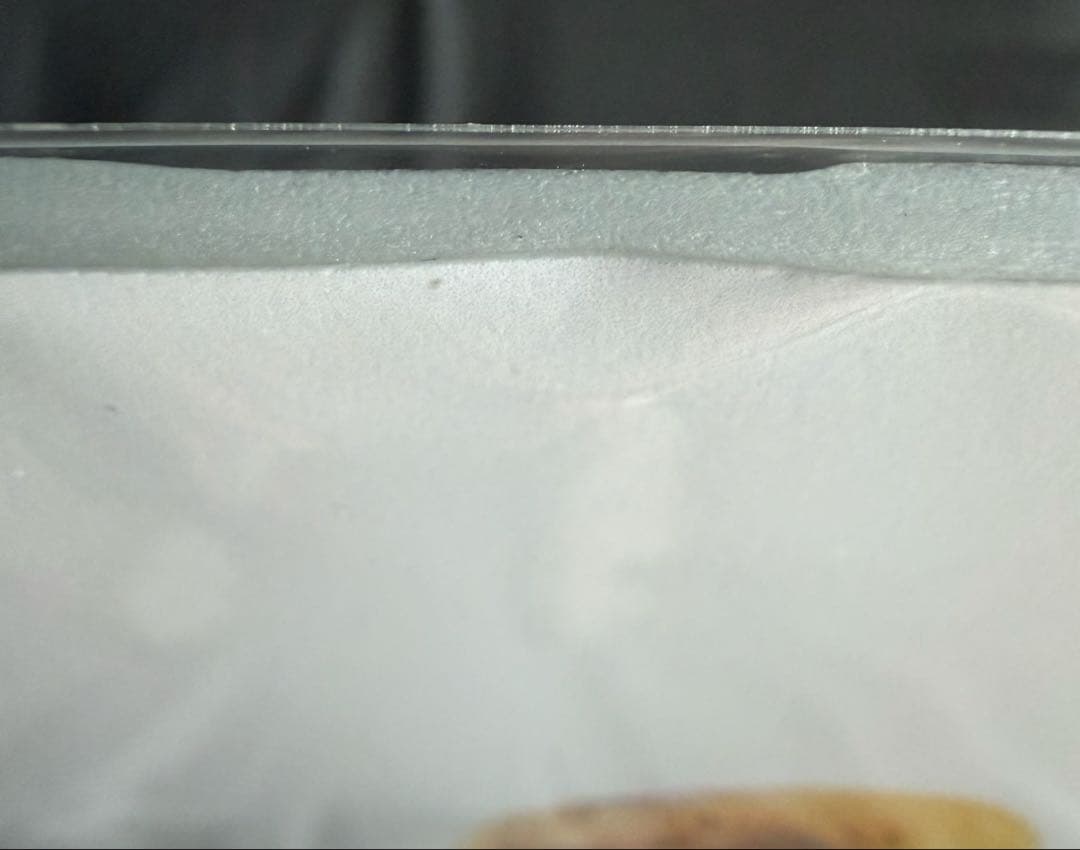 富園力也　写真集　リキヤノミリョク サインパネル　サイン付き写真集セット