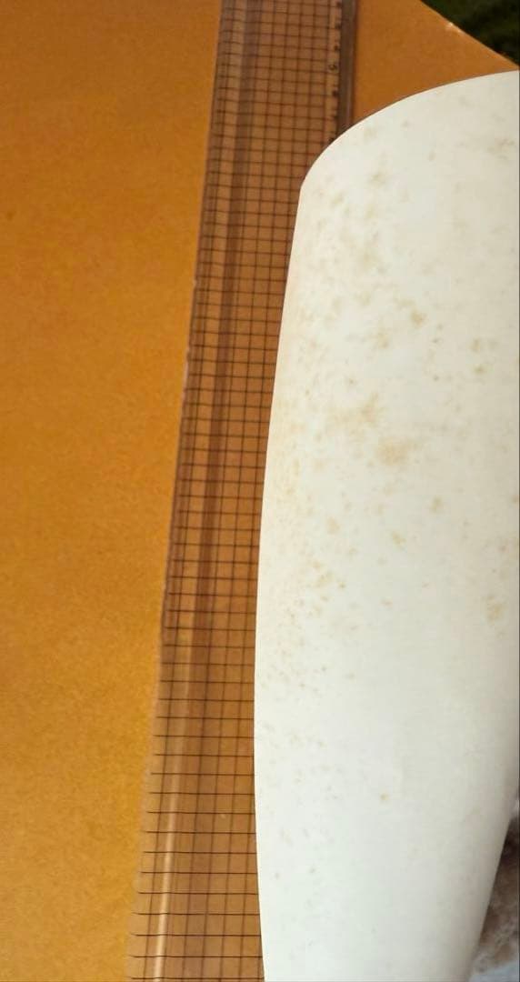 岡村靖幸　ツアーポスター　レア品　やすゆき　岡村ちゃん　ベイベ　岡村和義