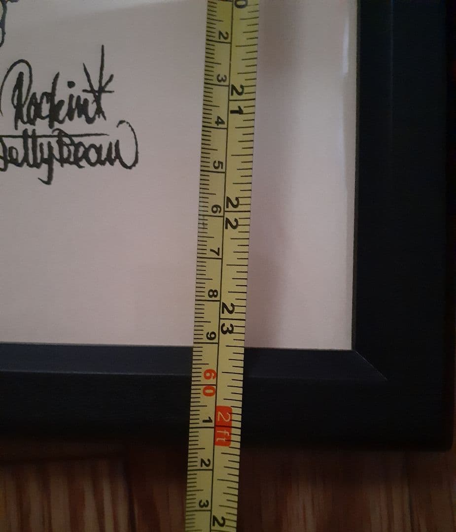 ロッキンジェリービーン シルクスクリーン デビルマン 額縁セット