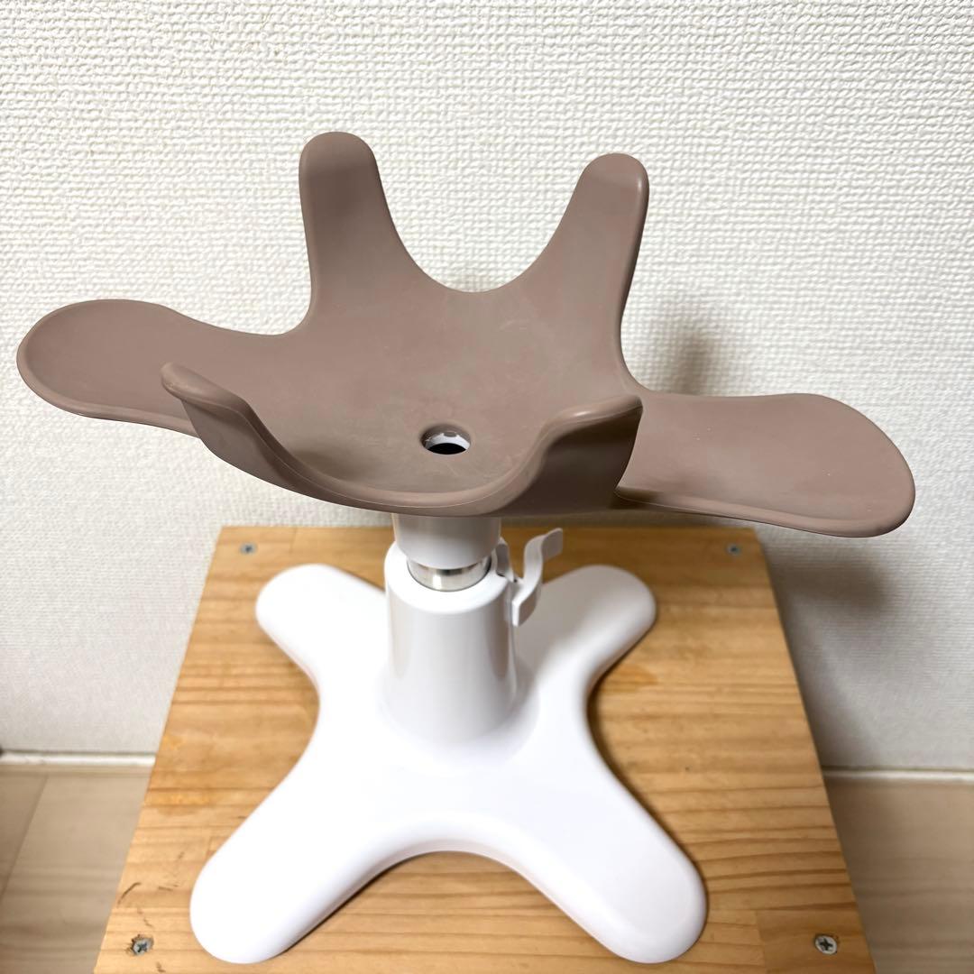 サムソン・サロン　ペット専用の美容チェア