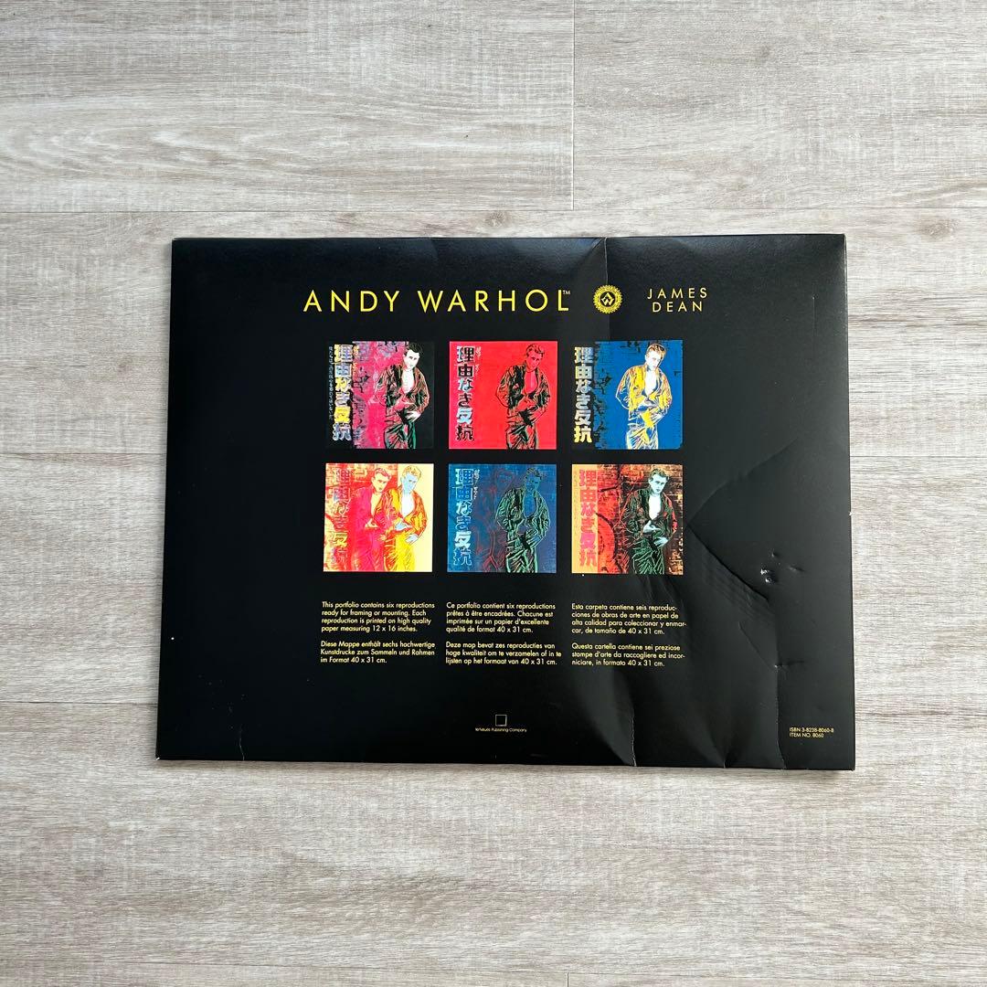 【アンディ・ウォーホル美術財団スタンプつき】『理由なき反抗』 シルクスクリーン