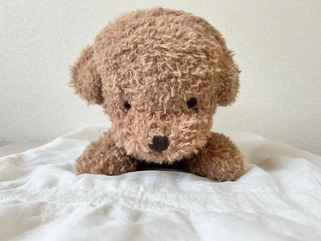 ジェラートピケ　トイプードル　ぬいぐるみ　ブラウン