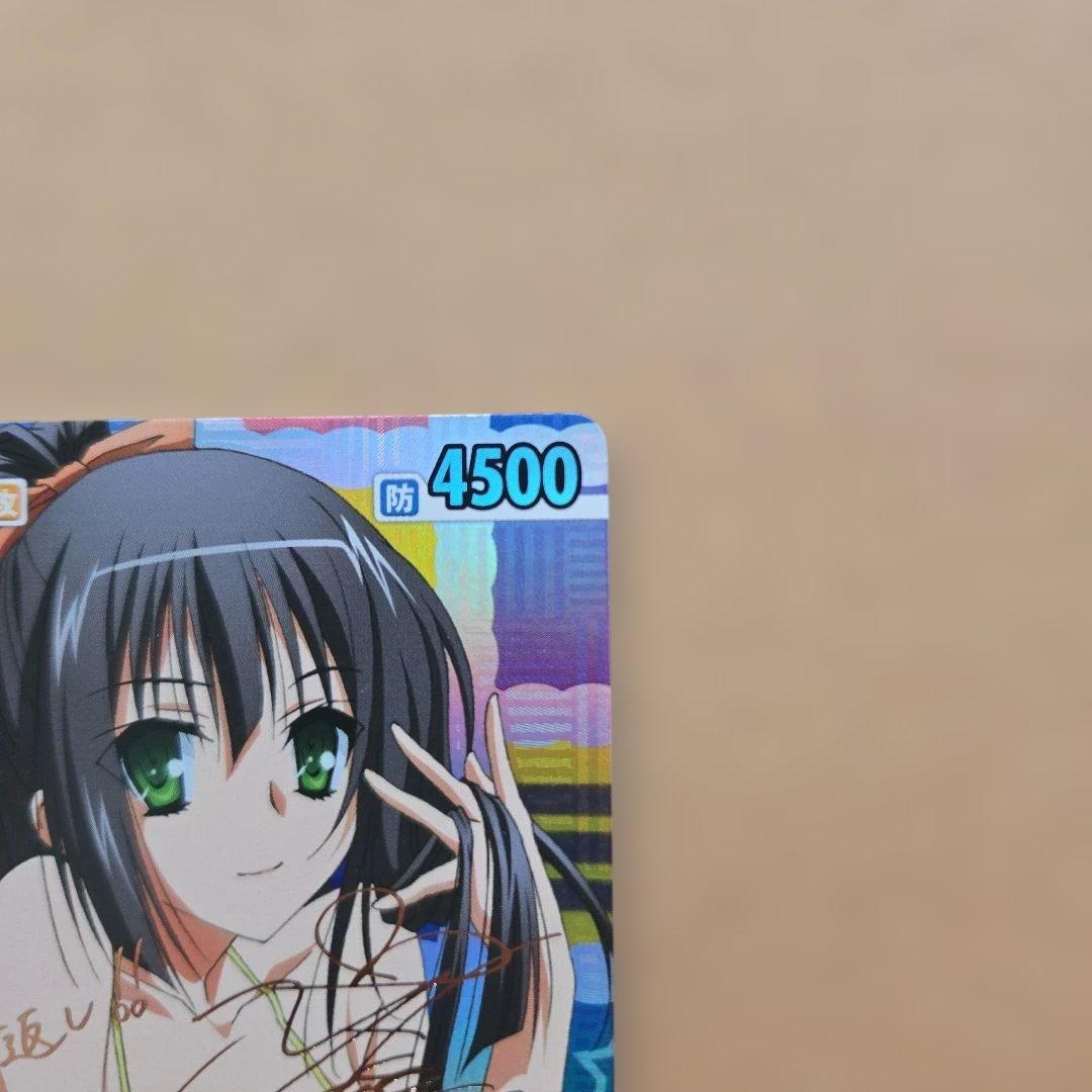 ヴィクトリースパーク セラ サイン