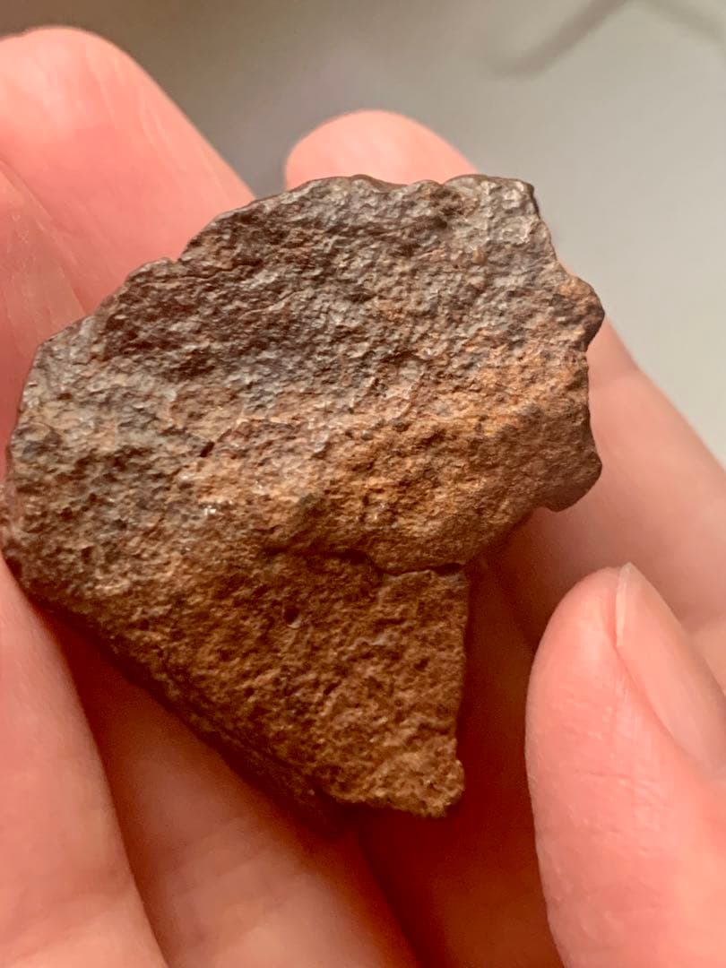 世界最古の石　46億年前の隕石コンドライト　太陽系最古の隕石　石質隕石　鉄隕石