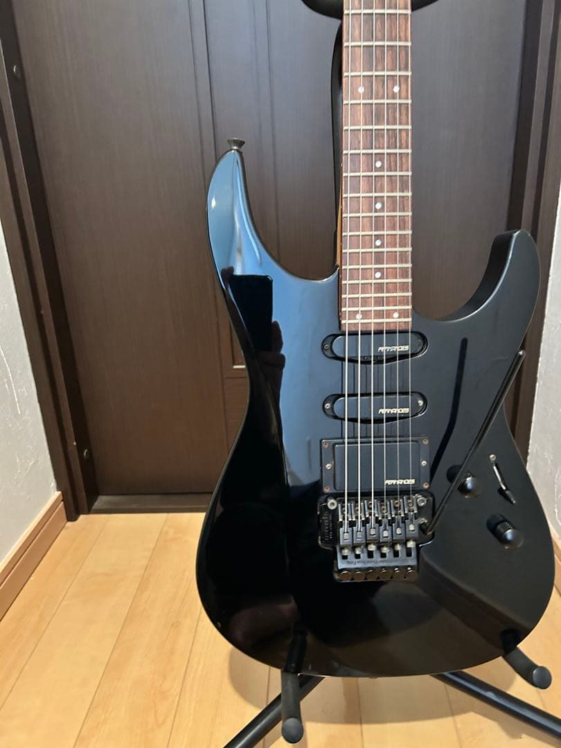 フェルナンデス FR-55