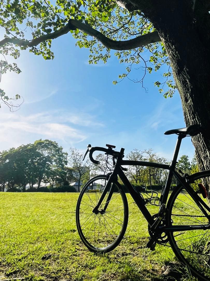 ※チキン野郎さま専用※Bianchi ベルガモ 完成車