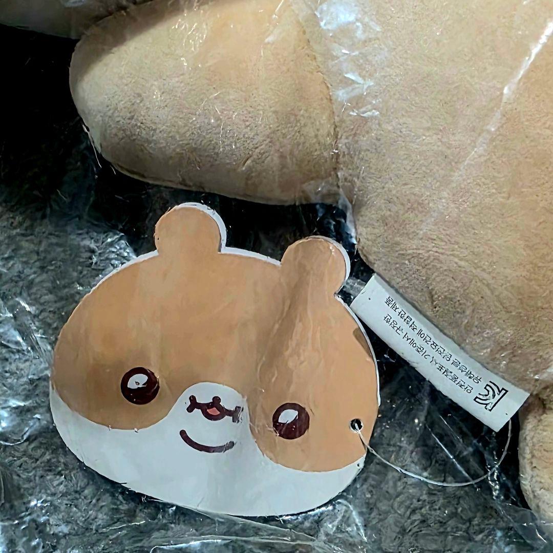 MONSTA X TWOTUCKGOMハムゴム キヒョン BODY PILLOW