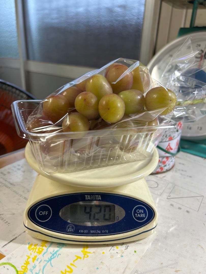 タイムセール！山梨県限定 赤いシャインマスカット！？ 1コンテナ　10房以上