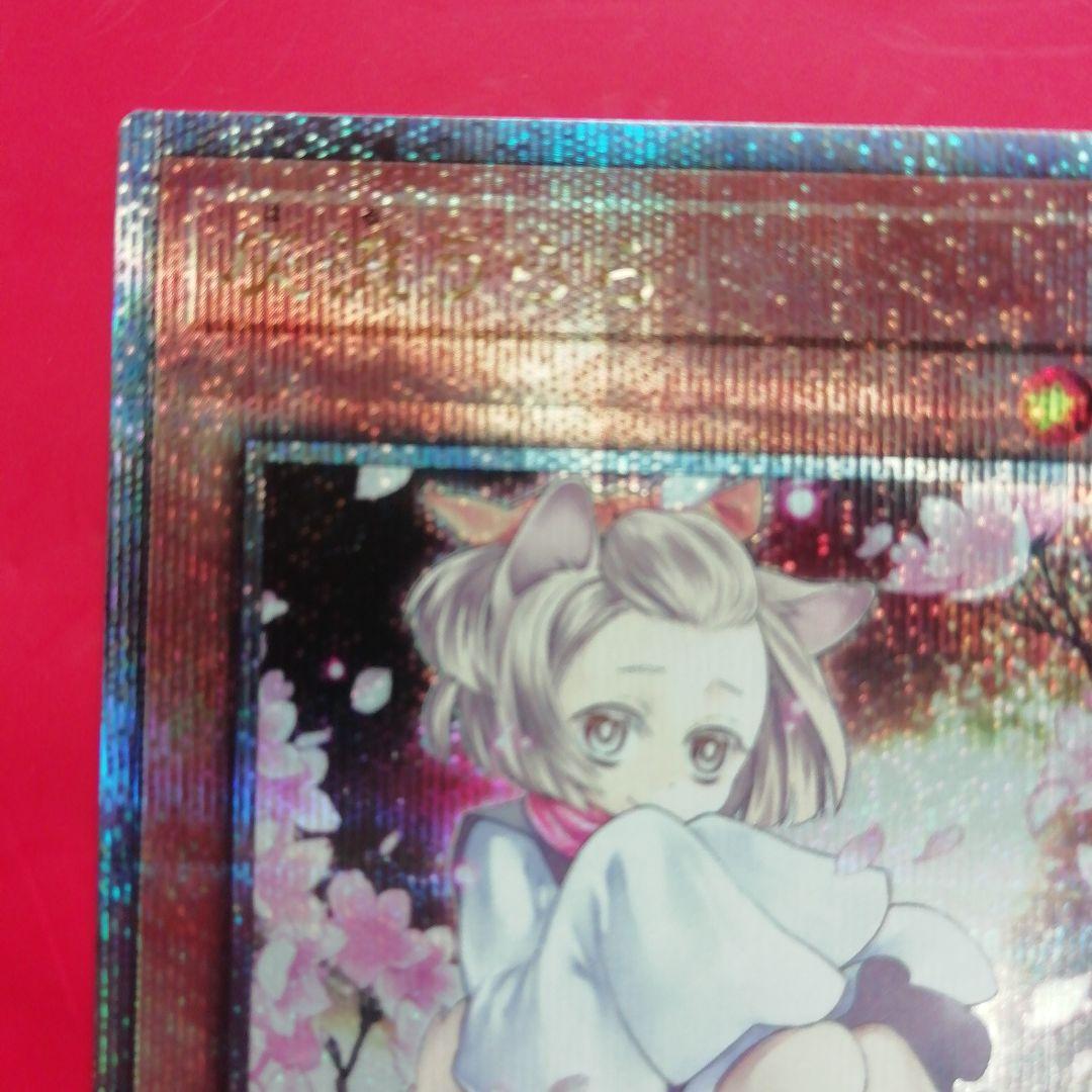 遊戯王【灰流うらら】25th 絵違い QCAC -JP050