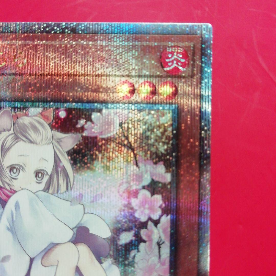 遊戯王【灰流うらら】25th 絵違い QCAC -JP050