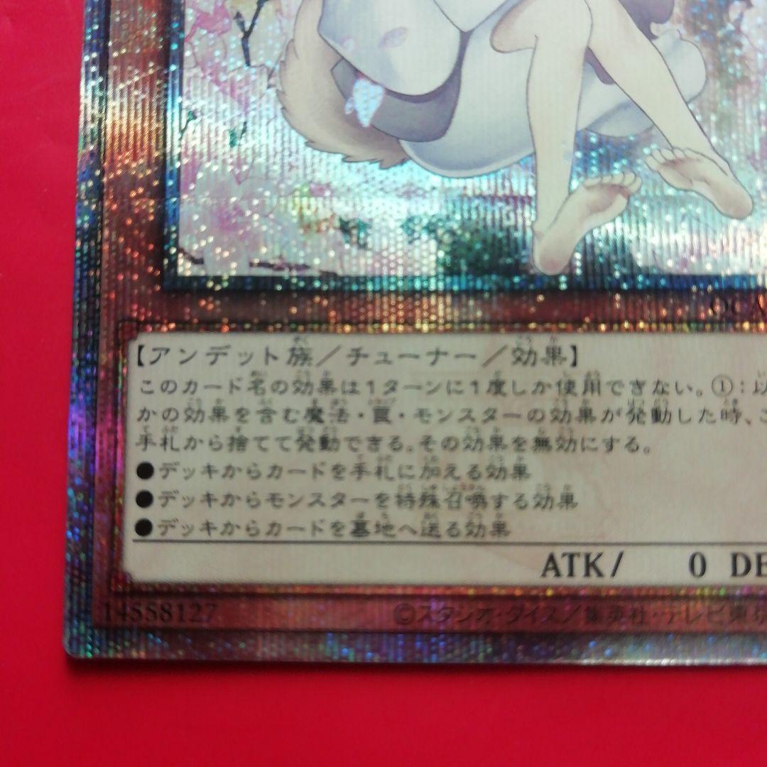 遊戯王【灰流うらら】25th 絵違い QCAC -JP050