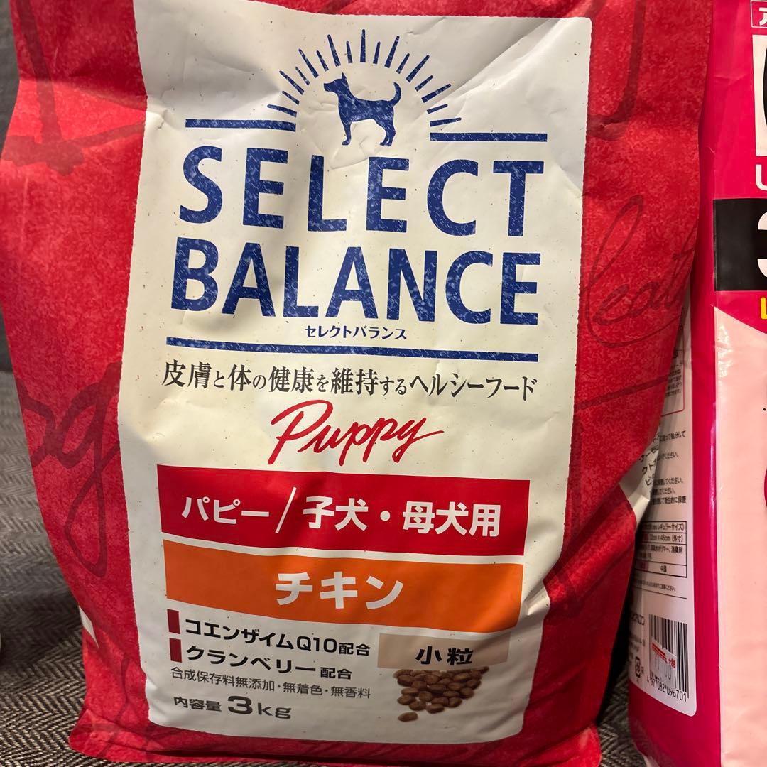 犬用品　まとめ売り