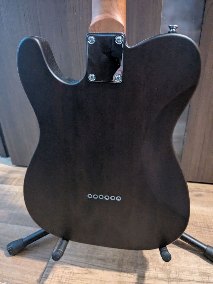 Bacchus TACTICS-STD/RSM CHG-S テレキャスター