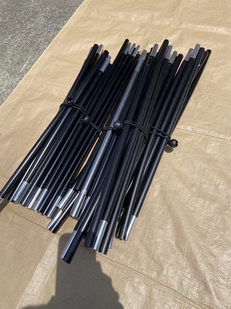 SABBATICAL サバティカル アルニカ