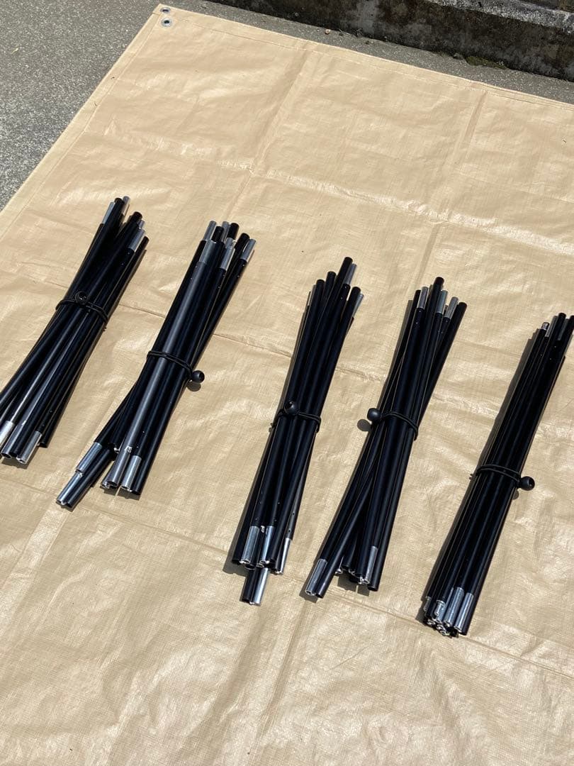 SABBATICAL サバティカル アルニカ