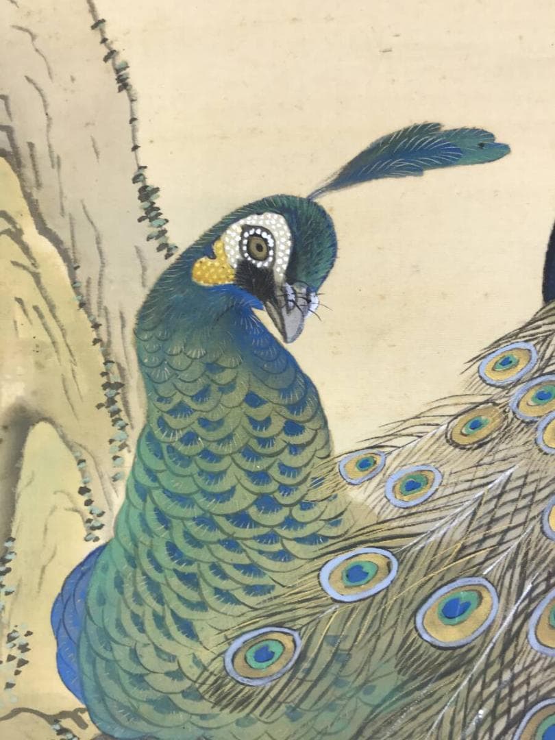 真作/龍洲/孔雀に牡丹図/クジャクにボタン図/花鳥図/掛軸☆宝船☆AH-610