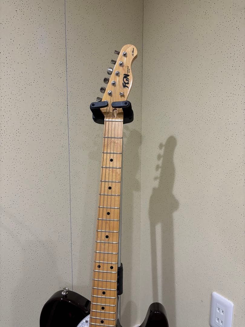 FGNフジゲンテレキャスターシンライン