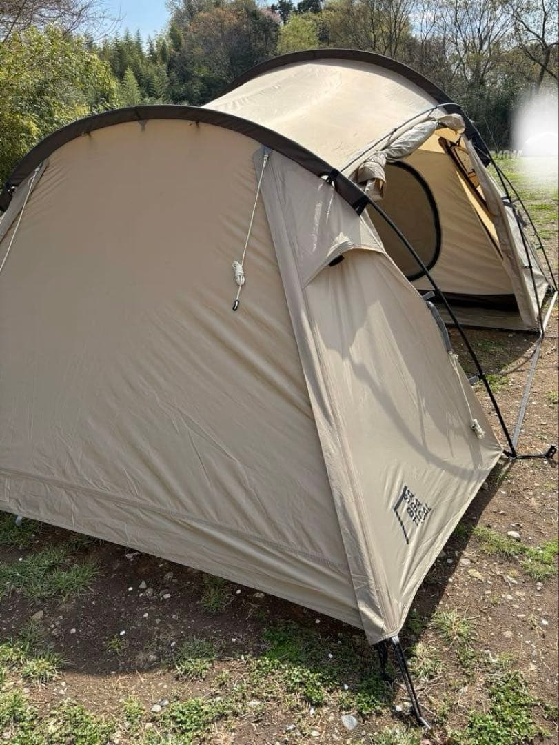 サバティカル　ギリア　サンドストーン　2022 おまけ付き