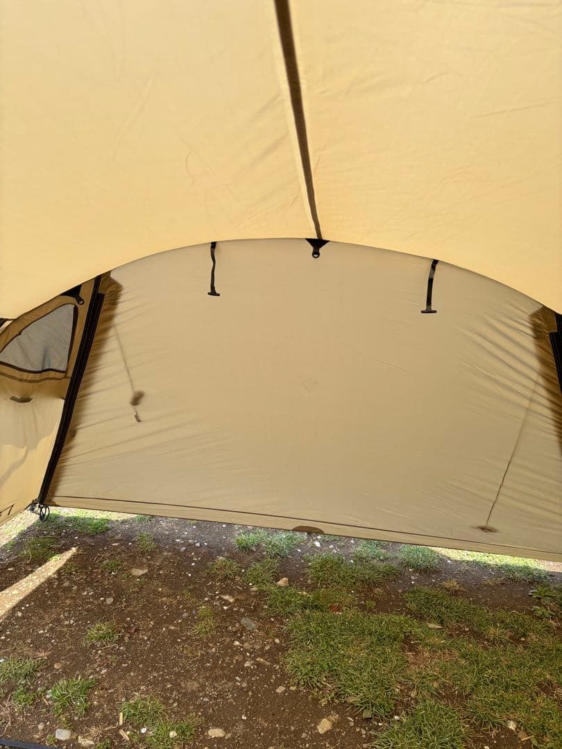 サバティカル　ギリア　サンドストーン　2022 おまけ付き