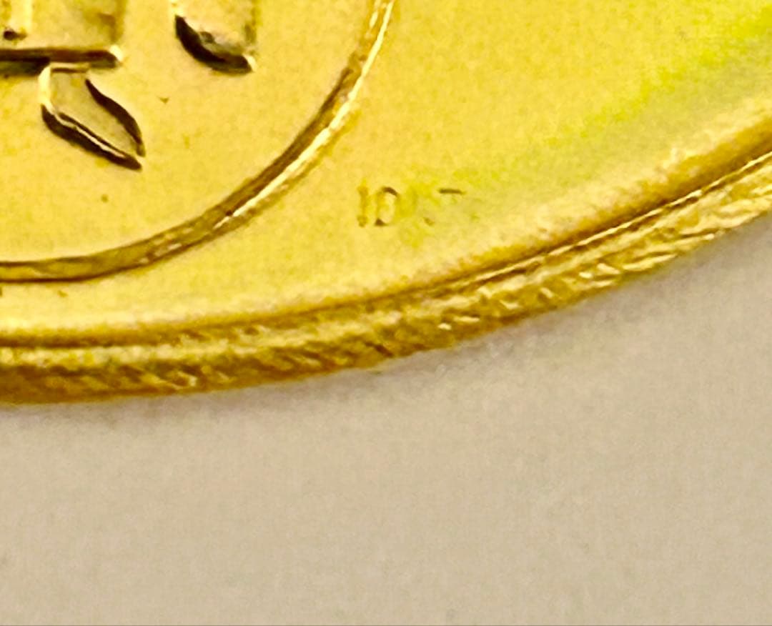 ミュンヘンオリンピック　公式記念金メダル 10K 約35g ケース、説明書付