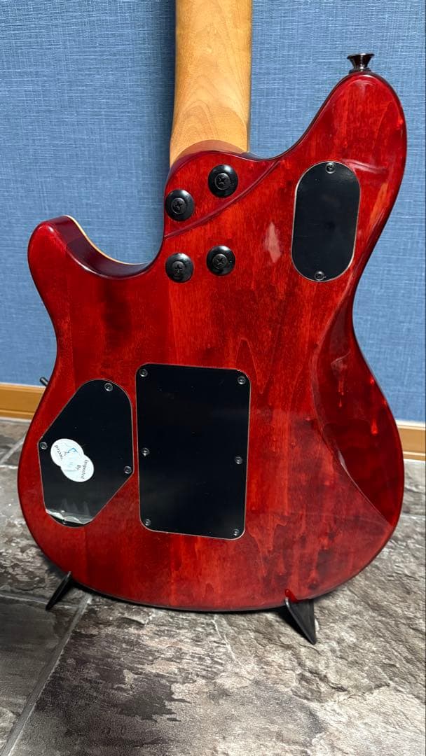 EVH Wolfgang WG Standard 中古美品