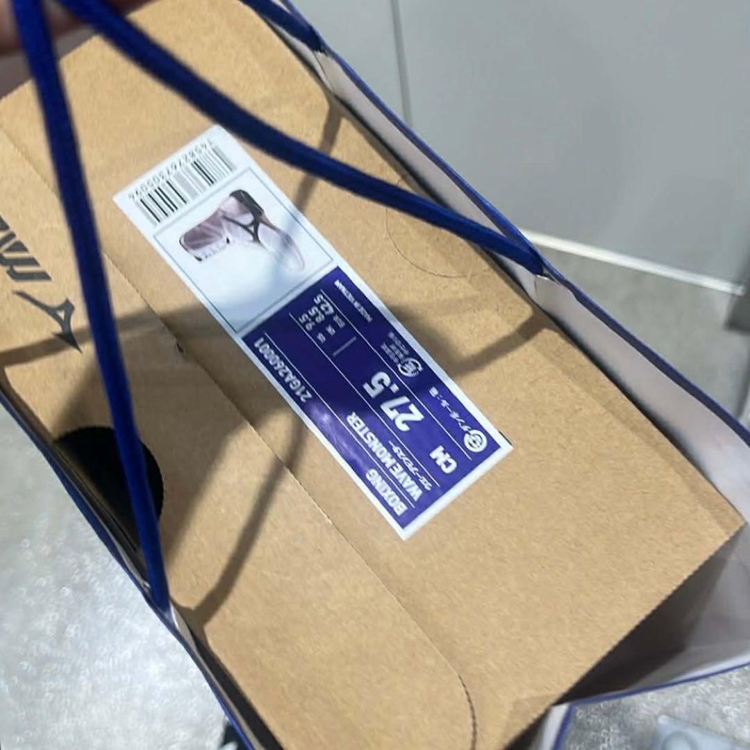 MIZUNOボクシングシューズ WAVE MONSTER