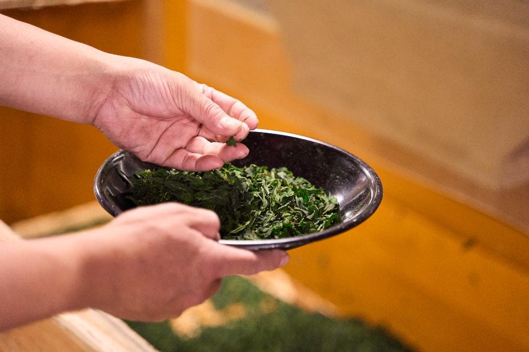 【業務用1kg】京都和束町産のオーガニック抹茶缶（シングルオリジン）