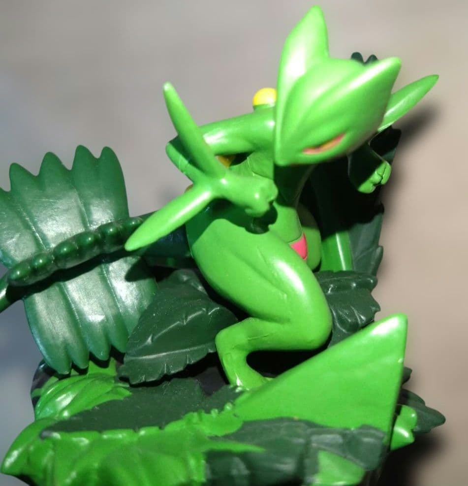 ポケモン　バトルコロシアム　ジュカイン