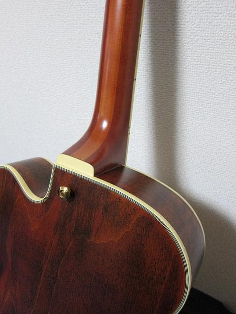 cotrane様　Ibanez PM3C Natural Amber