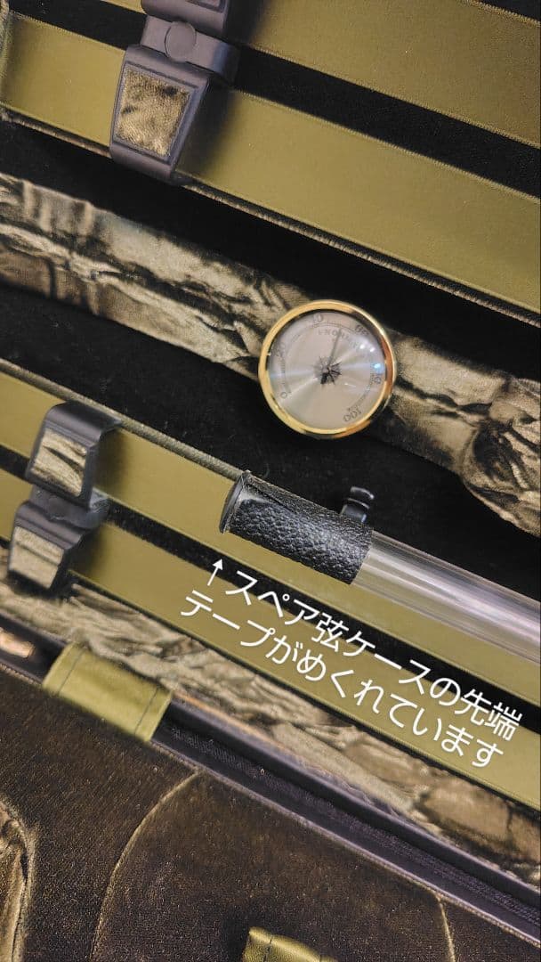 GEWA Jaeger　イエーガー オブロング / GEWA バイオリンケース