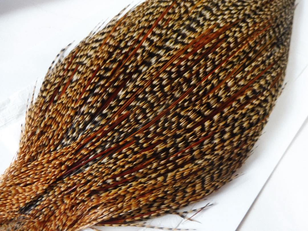 WHITING PRO GRADE コックハックルケープ 未使用品