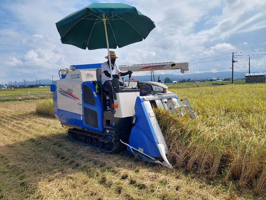 新潟県産コシヒカリ 特別栽培米 10kg（従来コシヒカリ）