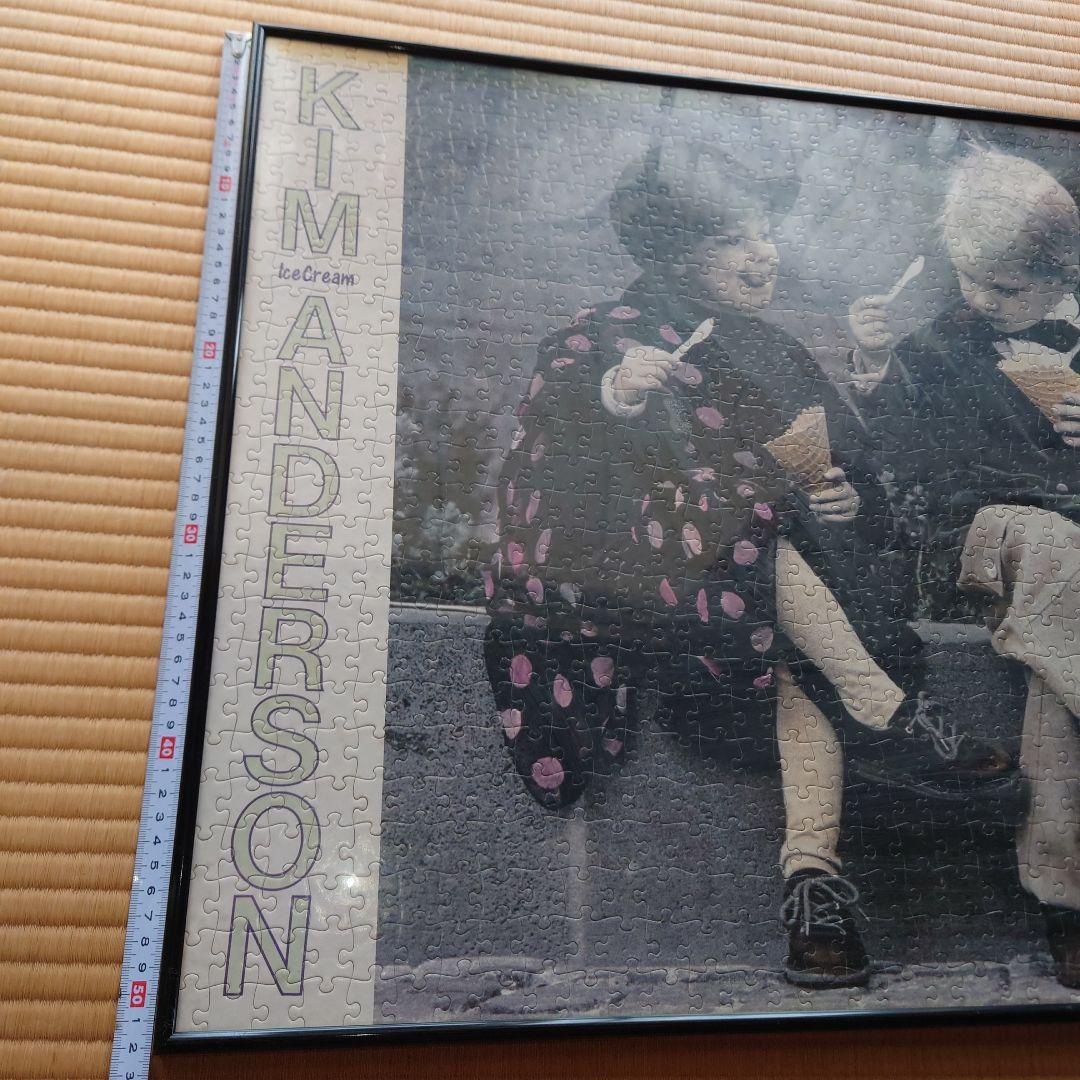 KIM ANDERSON ジグソーパズル 完成品