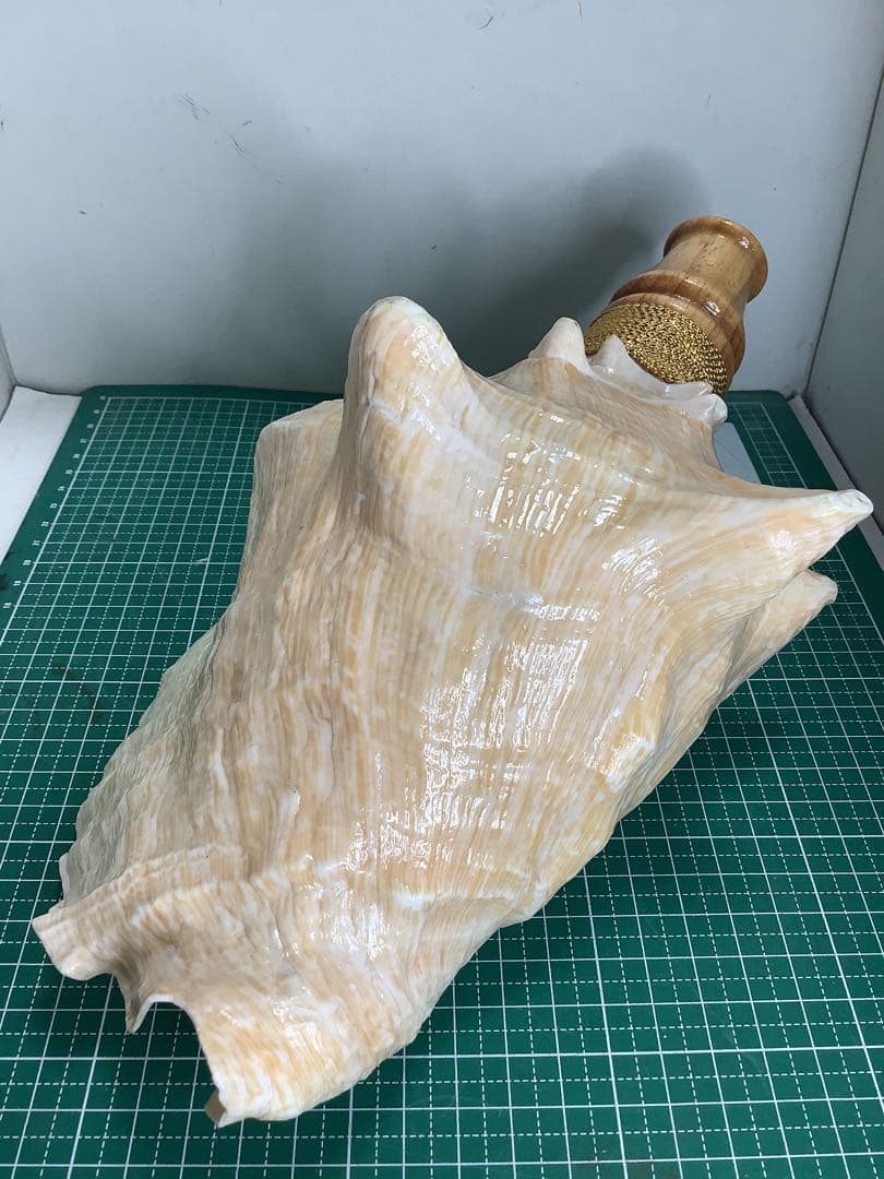 ヤフメリ41・ピンクガイ・法螺貝・山伏・修験者・戦国武将・金峯山・羽黒山・熊除笛