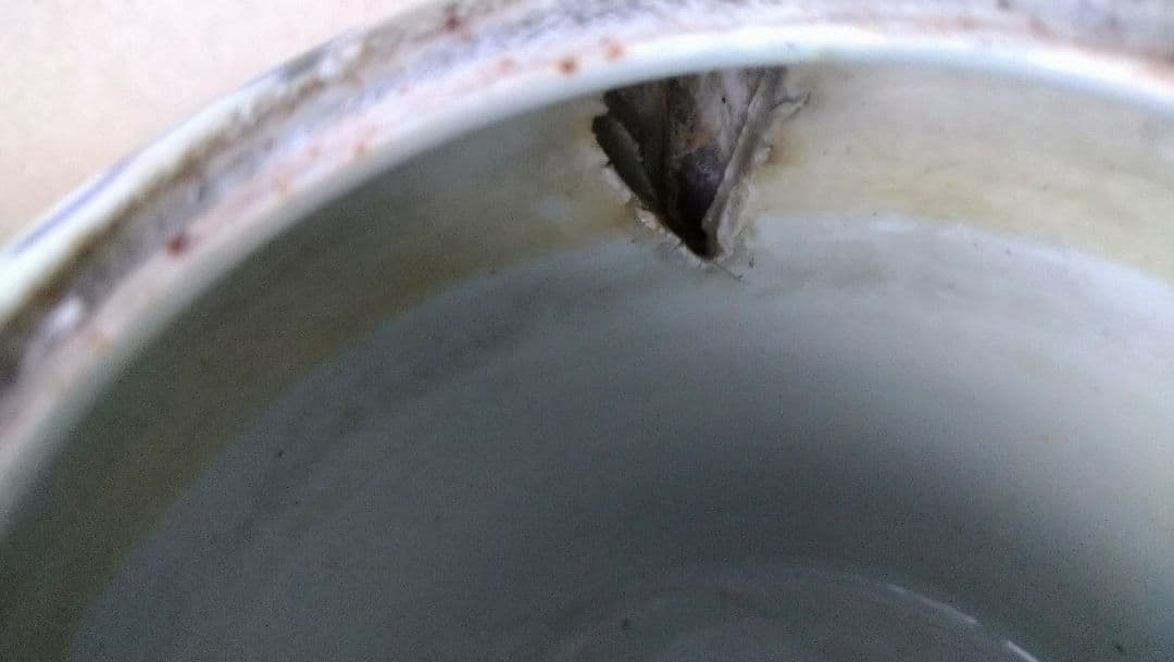 染付   水差し   急須