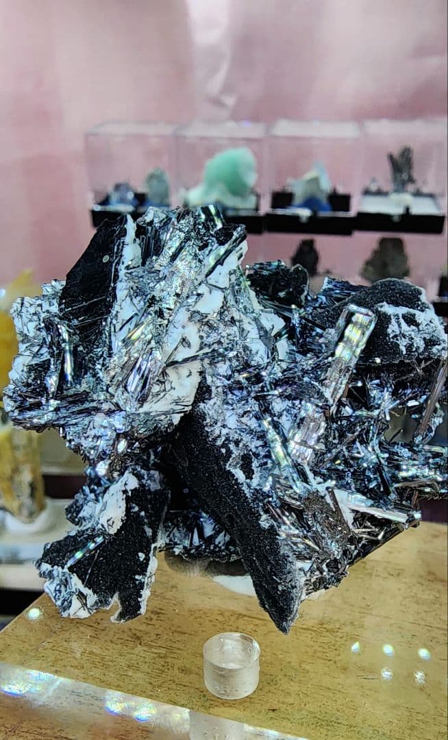 スティブナイト