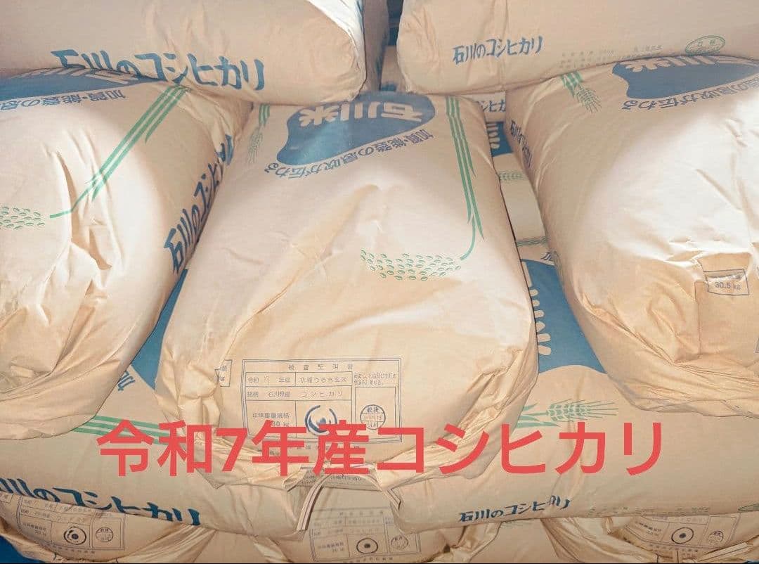 令和7年産　石川県産コシヒカリ　玄米30kg