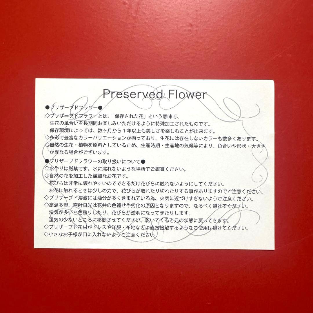 乃木坂46 乃木フェス 中西アルノ 直筆サイン入り フラワーBOX