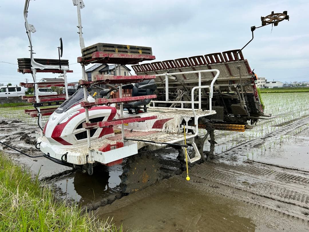 令和7年 岐阜県産 ハツシモ 白米10Kg